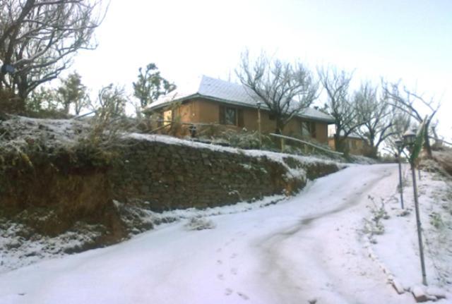 Oyo 43476 Vatika Resort Шимла Екстериор снимка